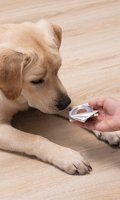 3 effective flea tablets for dogs