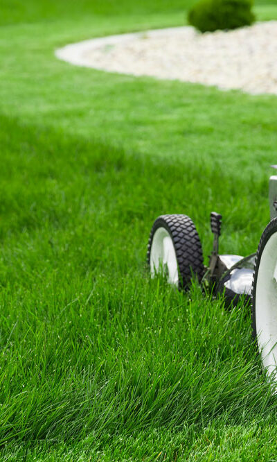 5 lawn care tips to maintain a lush green yard