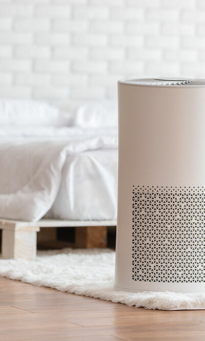 Best Molekule air purifiers of 2021