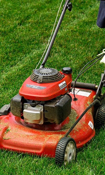 6 tips for maintaining a lush green lawn