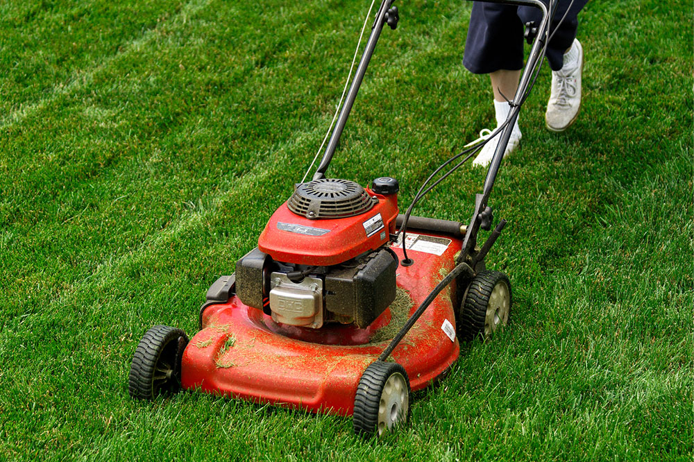 6 tips for maintaining a lush green lawn