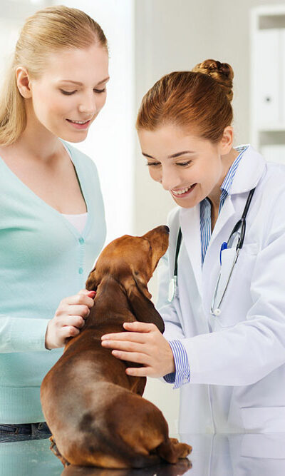 4 pet care mistakes to avoid